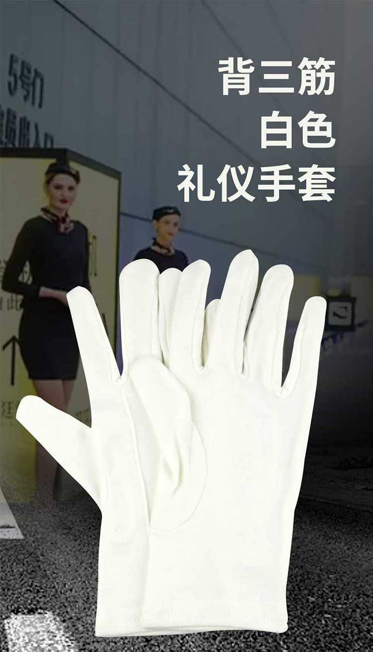 漢盾勞保用品 GP5504 滌棉22g 背三筋白色禮儀手套
